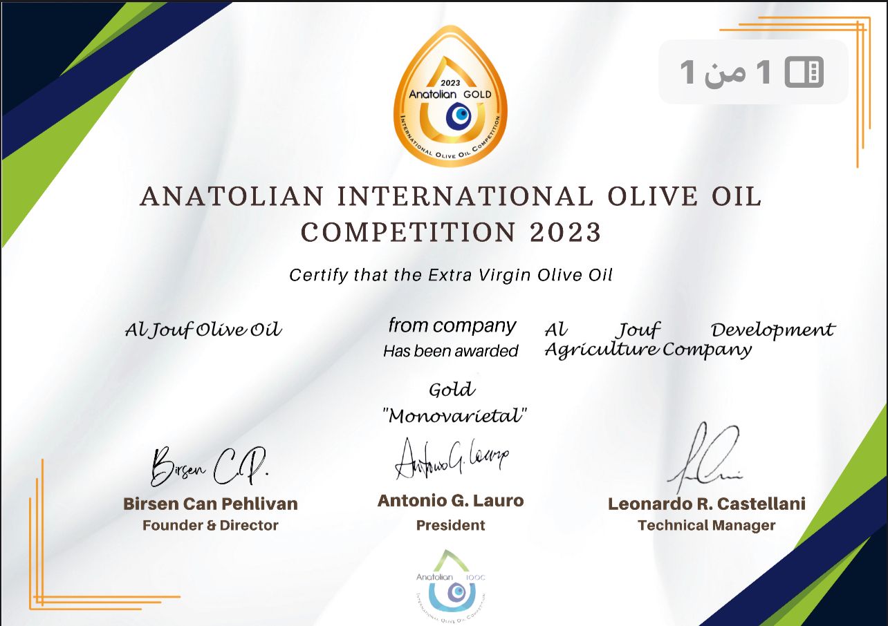Certificate 2